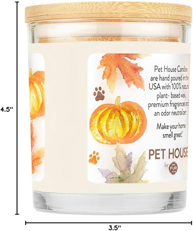 Pet House Pumpkin Candle, Plant-Based Scented Pet Odor Candle, Clean with a 60 Hour Burn Time - Pumpkin Pie, 2 Pack